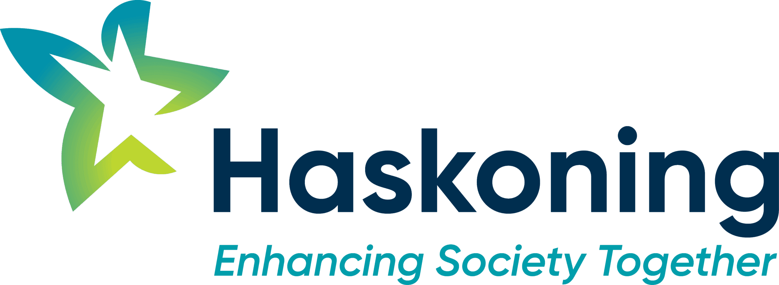 RGB_HaskoningLogo_Colour