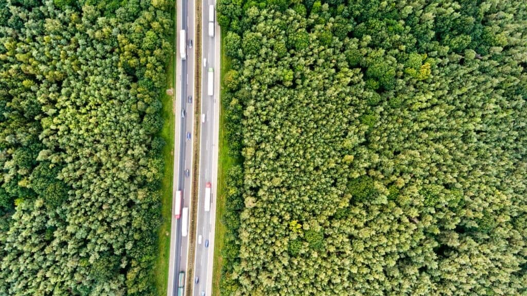 MicrosoftTeams-image-4-1