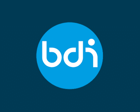 Programma_BDI